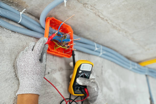 Best Electrician for Home Renovation  in Elk Grove Vlage, IL